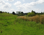 P7160536_150_120