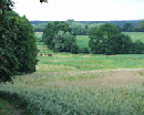 P7190610_200_160