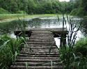 P7190601_150_120