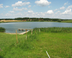 Boitiner See / Grnenhagen